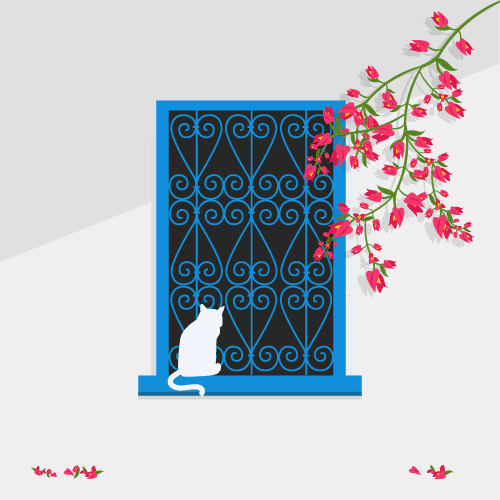 Fenêtre bleue et bougainvillier